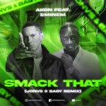 Akon Feat. Eminem - Smack That (JONVS & Bagy Remix).jpg