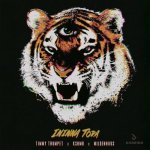 Timmy Trumpet x KSHMR x Mildenhaus - Ininna Tora.jpg