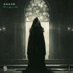 ANAXD - Pilgrim.jpg