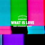 Haddaway - What Is Love (Mor Avrahami Remix).jpg