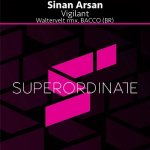 00-sinan_arsan-vigilant-(super651)-web-2024-ptc.jpg