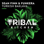 Screenshot 2024-12-17 at 00-21-12 Sean Finn Funkera - Turkish Baklava Tribal Kitchen Music & D...png