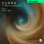 Screenshot 2025-01-30 at 23-50-34 Tamer ElDerini - Zurna Pipe & Pochet Music & Downloads on Be...png