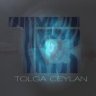 TLGCYLN