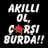 ÇaRŞı35